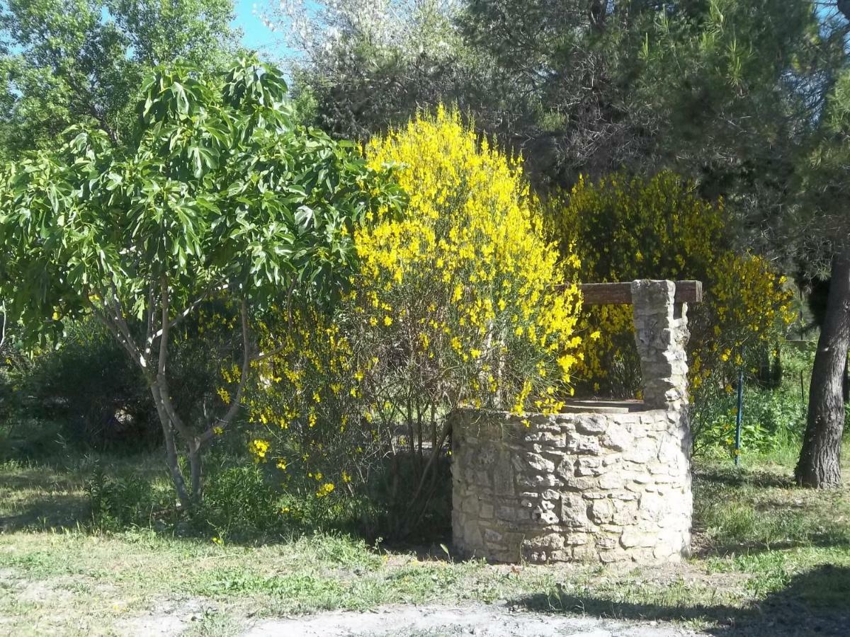 B&B Le Petit Frigouyé Rochefort-du-Gard Extérieur photo